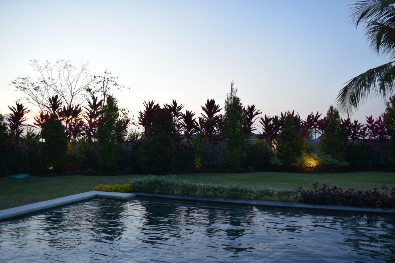 Villa Putih Ловина Экстерьер фото